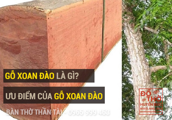 Ưu điểm của gỗ xoan đào