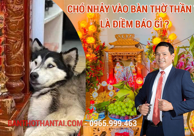 Chó nhảy vào Bàn Thờ Thần Tài là điềm báo gì ?