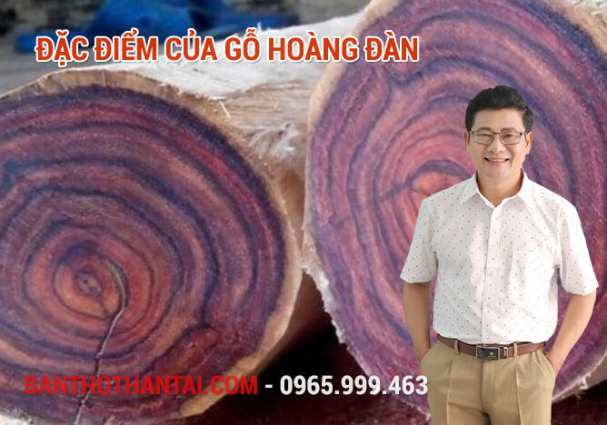 Đặc điểm của gỗ Hoàng Đàn