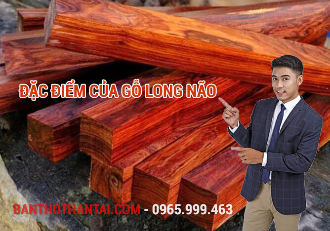 Đặc điểm của gỗ Long Não