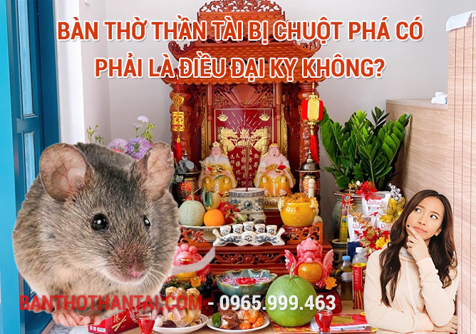 bàn thờ Thần Tài bị chuột phá có phải là điều đại kỵ không?