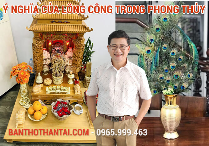 Ý nghĩa của lông công trong phong thủy