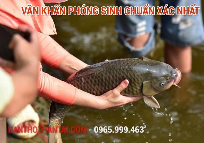 Văn khấn phóng sinh chuẩn xác nhất